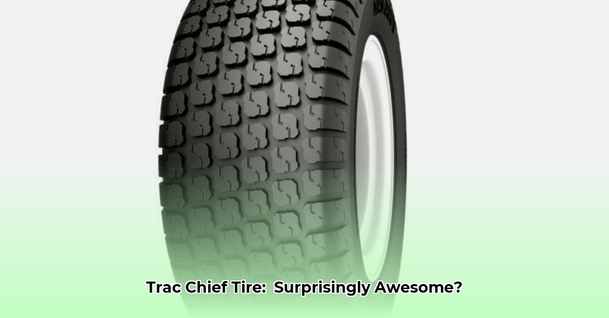 25x8-5x14-tractor-tire